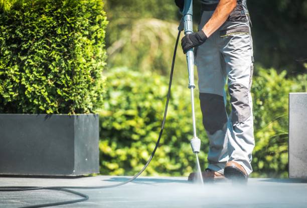 Best Fence Cleaning  in Guttenberg, NJ